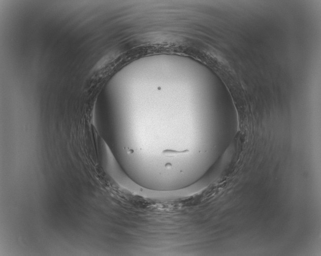 X0000056370869200509021811