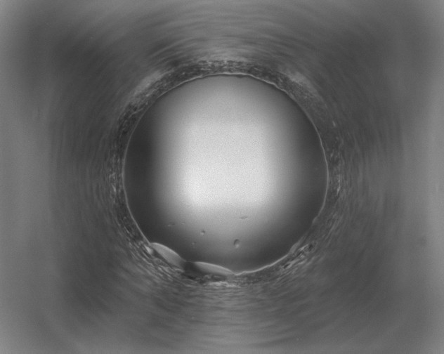 X0000056370870200509021811