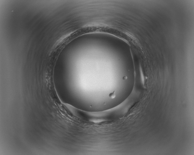 X0000056370872200509021811