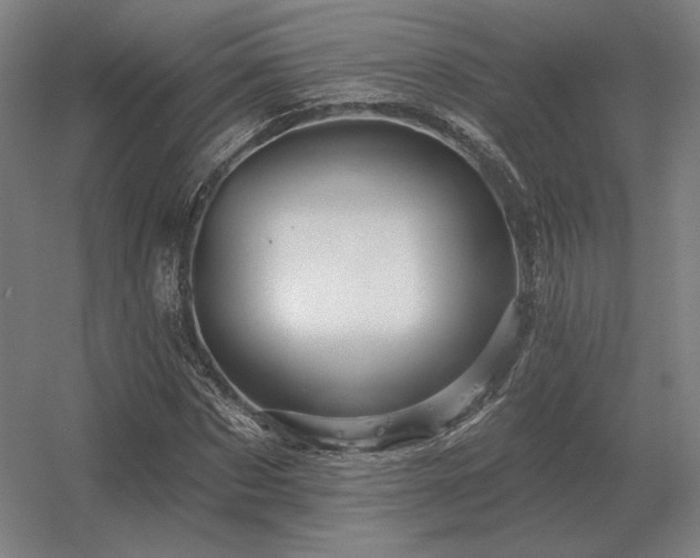 X0000056370873200509021811