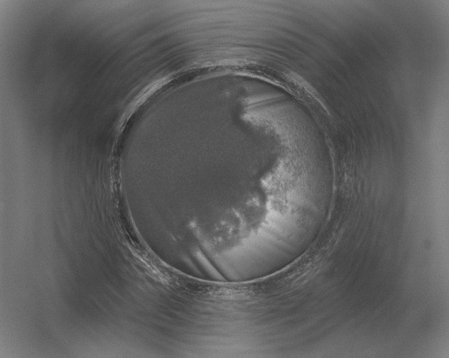 X0000056370874200509021811