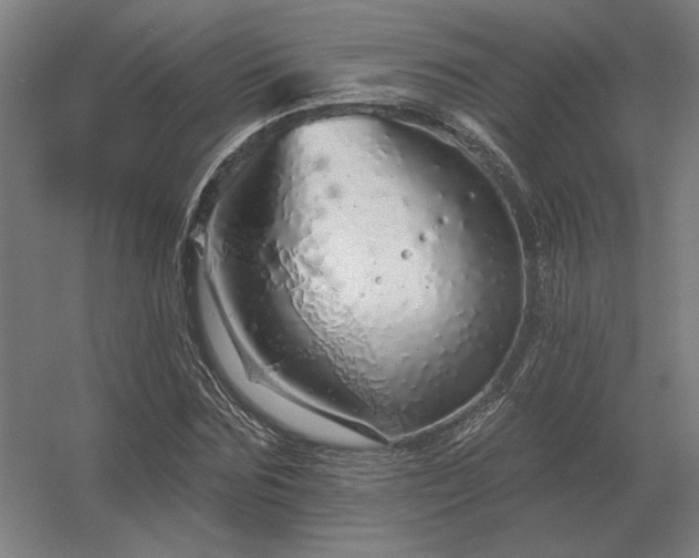 X0000056370875200509021811