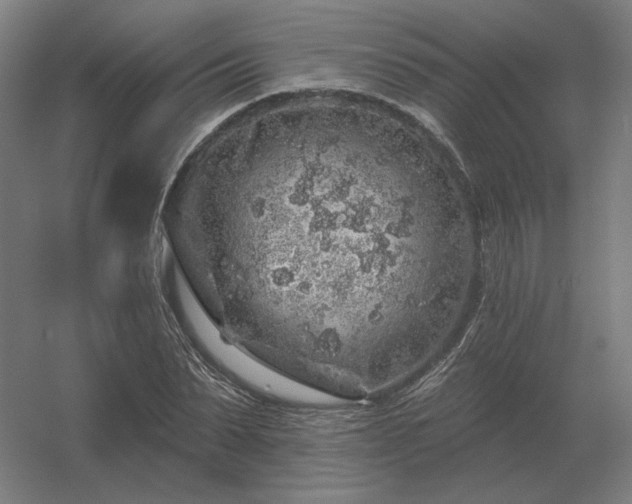 X0000056370879200509021811