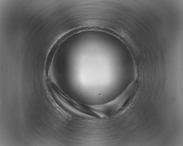 X0000056370880200509021811