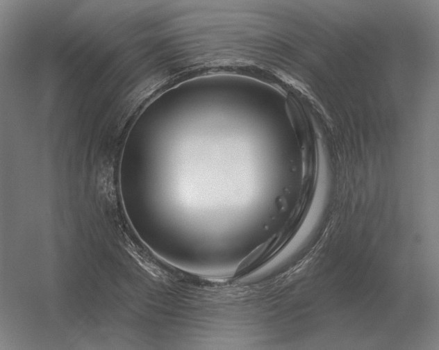 X0000056370881200509021811