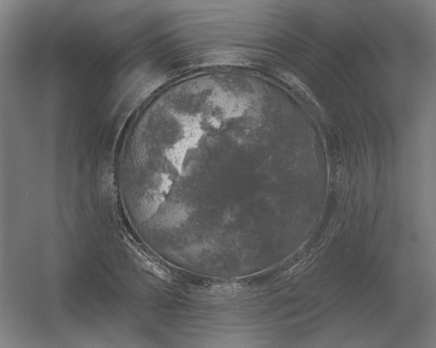 X0000056370882200509021811