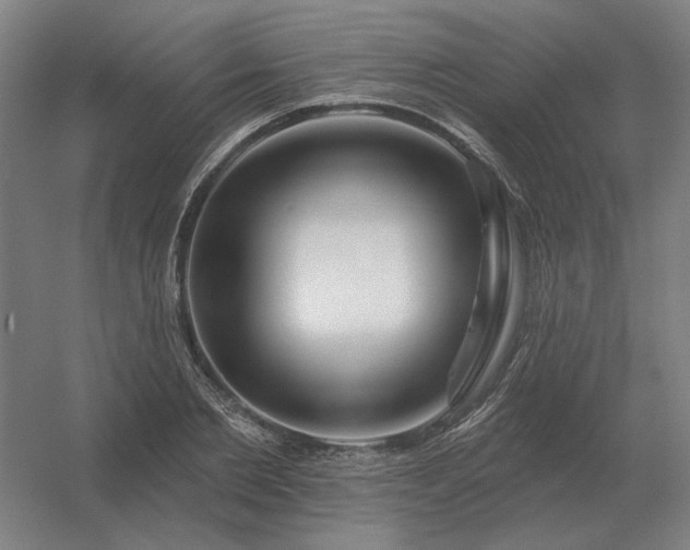 X0000056370885200509021811