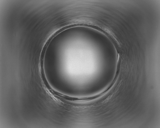 X0000056370888200509021811