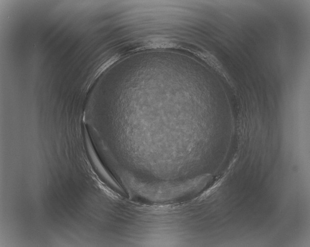 X0000056370889200509021811