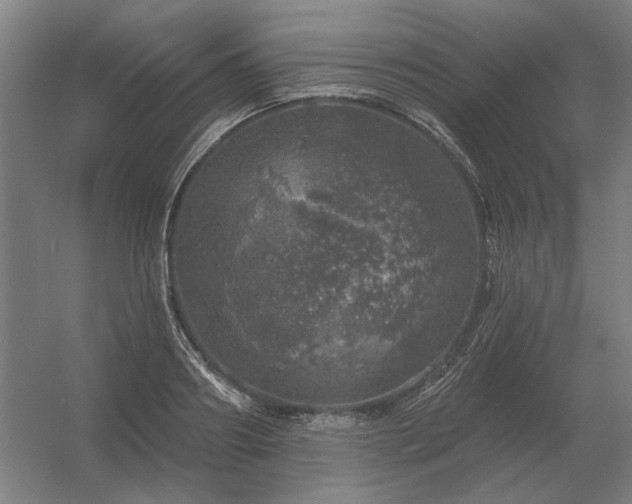 X0000056370890200509021811