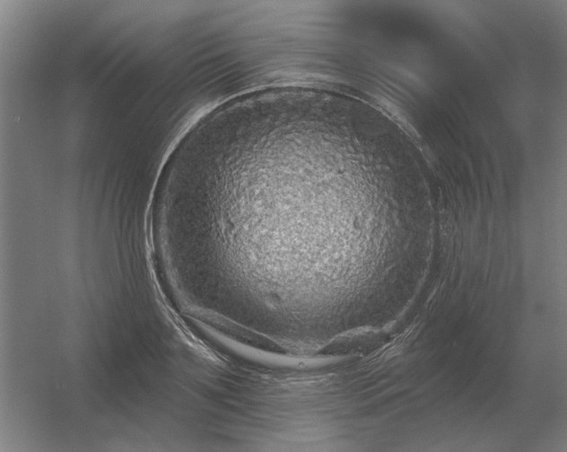 X0000056370891200509021811