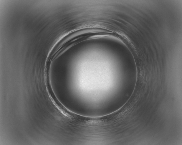 X0000056370894200509021811