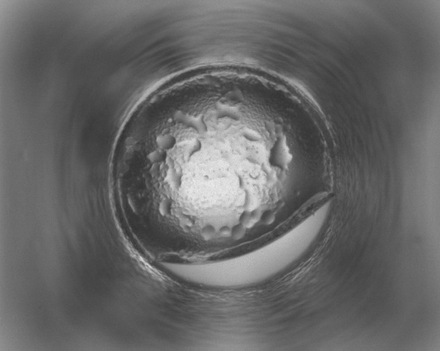 X0000056370895200509021811