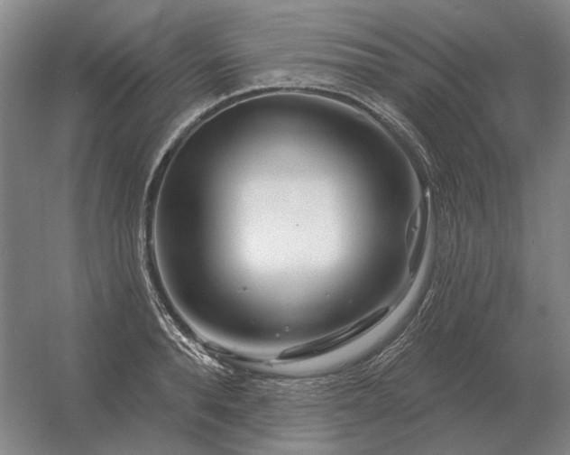 X0000056370896200509021811