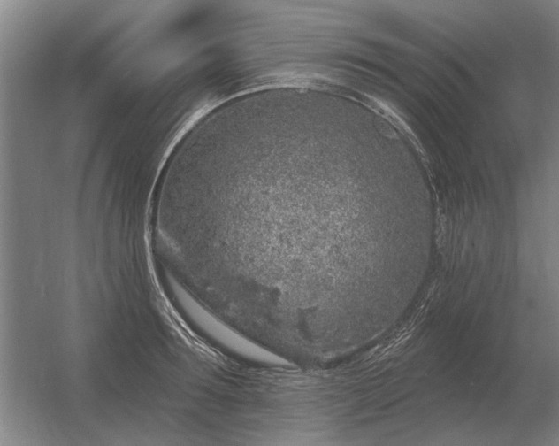 X0000056370899200509021811