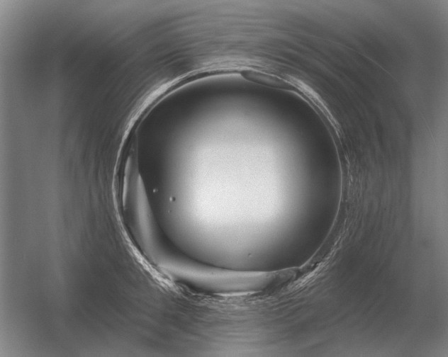 X0000056370901200509021811