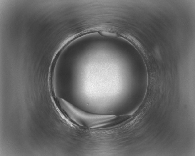 X0000056370902200509021811