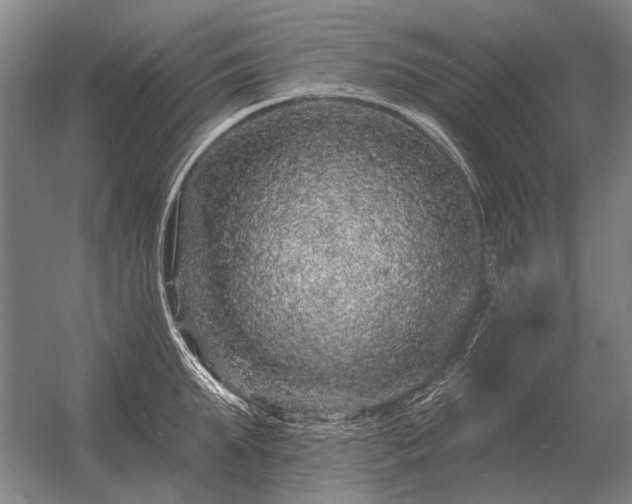 X0000056370903200509021811