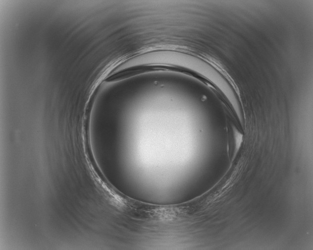 X0000056370906200509021811