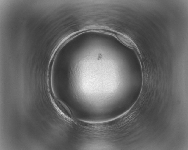 X0000056370911200509021811