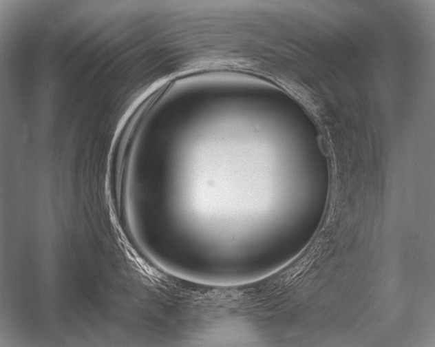 X0000056370912200509021811