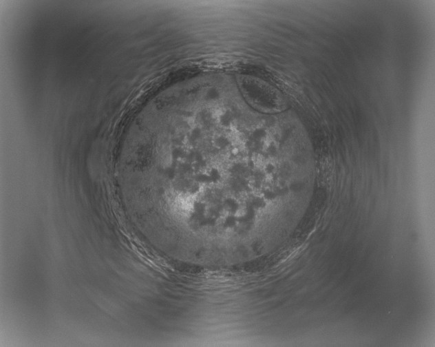 X0000056370913200509021810