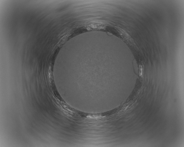 X0000056370915200509021810