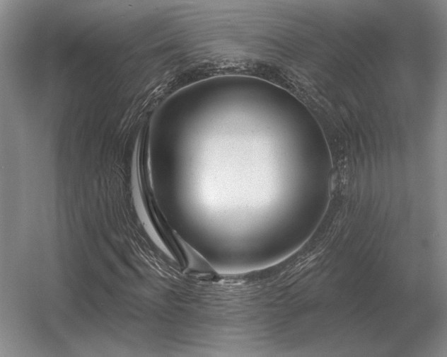 X0000056370916200509021810