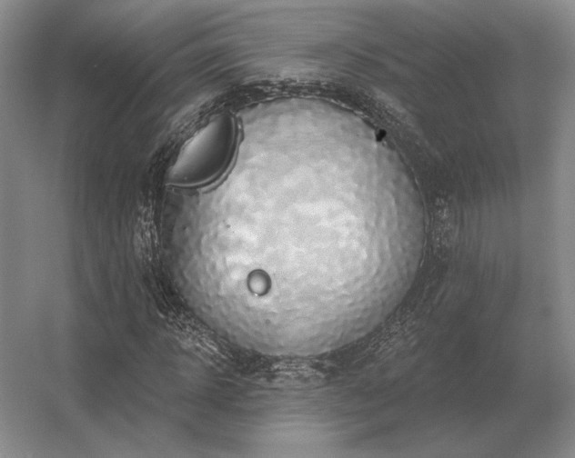 X0000056370918200509021810