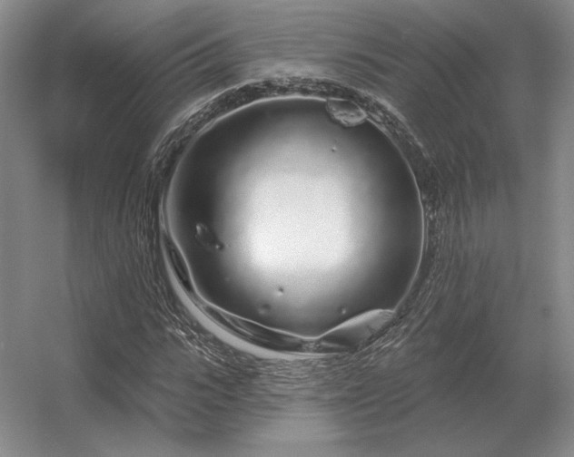 X0000056370919200509021810