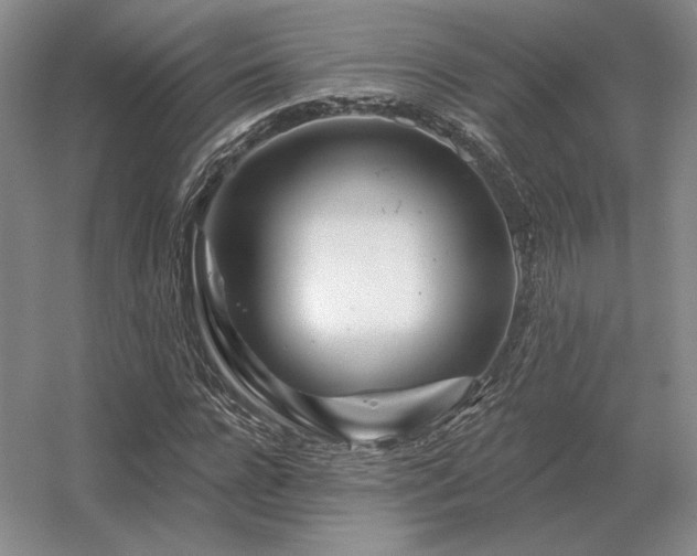 X0000056370920200509021810