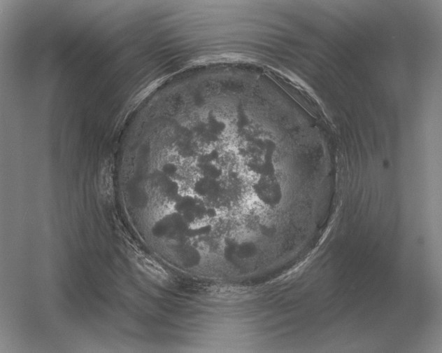 X0000056370921200509021810