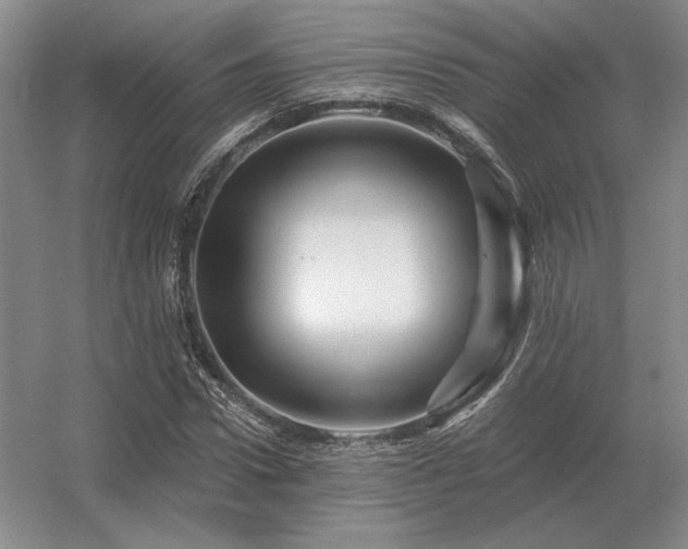 X0000056370922200509021810