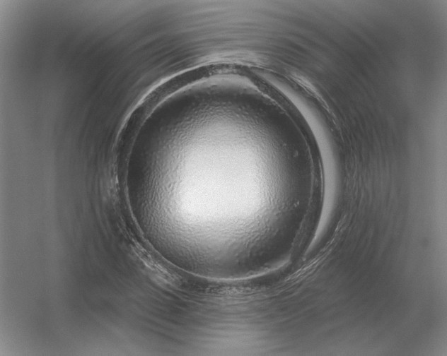 X0000056370923200509021810