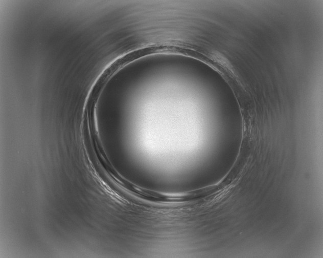 X0000056370924200509021810