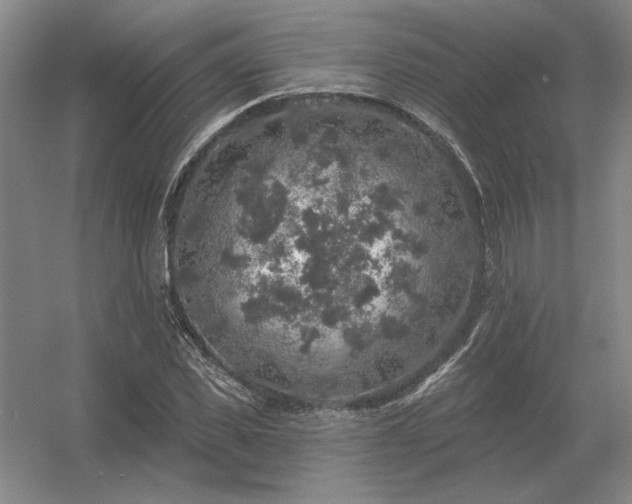 X0000056370925200509021810