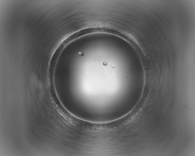 X0000056370927200509021810