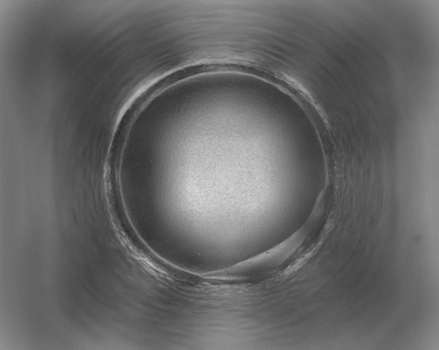 X0000056370928200509021810