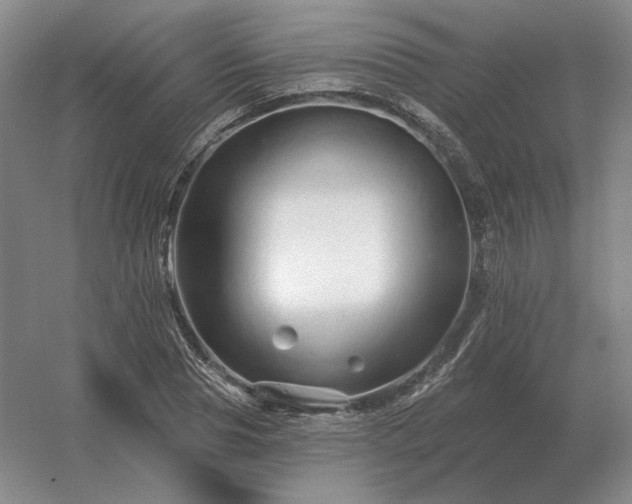 X0000056370929200509021810