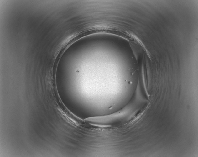 X0000056370930200509021810