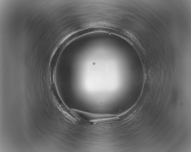 X0000056370931200509021810