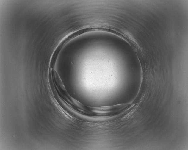 X0000056370932200509021810