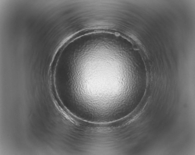 X0000056370933200509021810