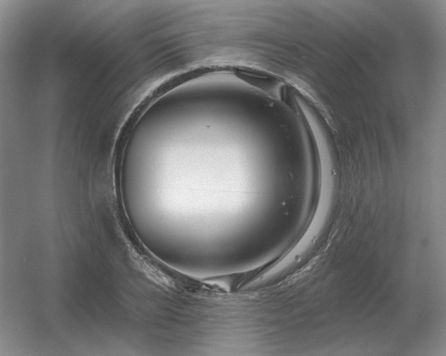 X0000056370934200509021810