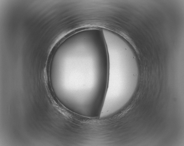 X0000056370936200509021810