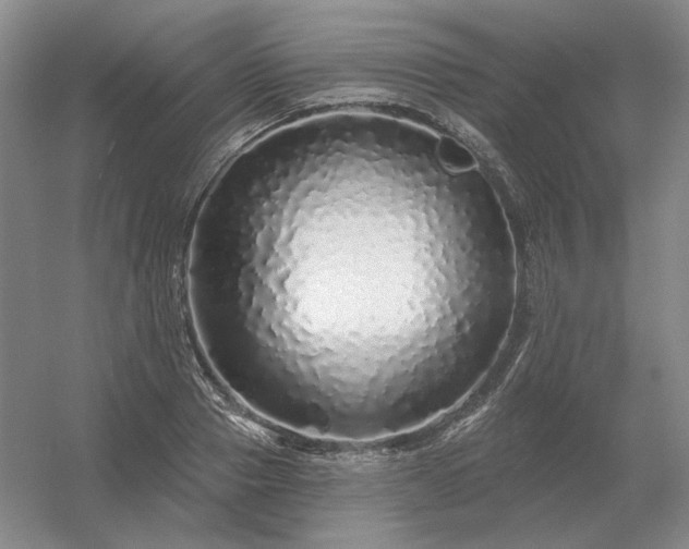 X0000056370937200509021810