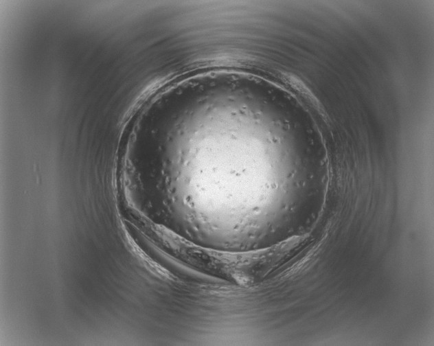 X0000056370938200509021810