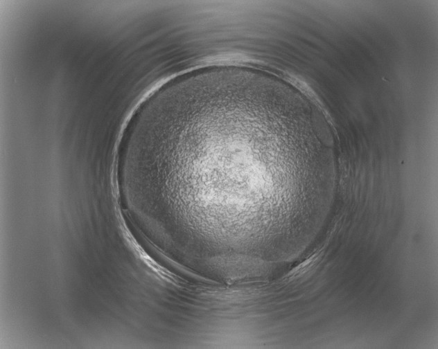 X0000056370939200509021810