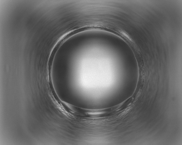 X0000056370940200509021810