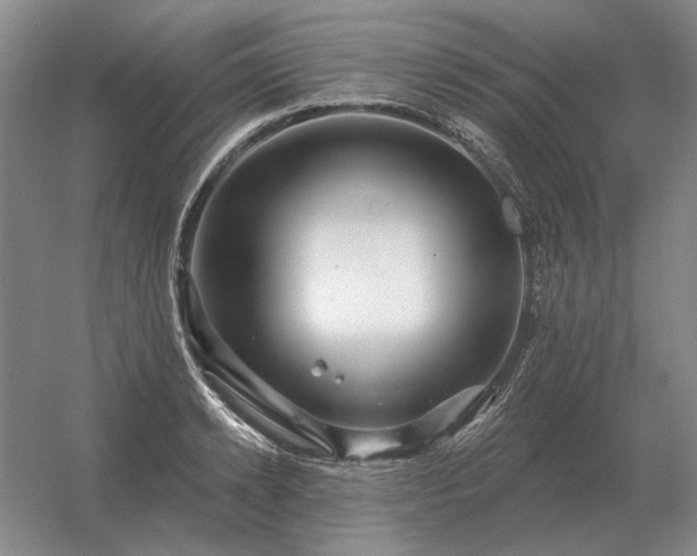 X0000056370942200509021810